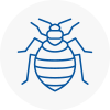 Bed Bug Extermination In Waterlooville