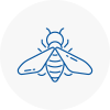 Bee Nest Removal Waterlooville