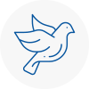 Bird Prevention Waterlooville