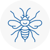 Waterlooville Hornet Nest Removals