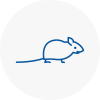Mice Exterminators In Waterlooville