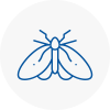 Moth Control Specialists In Waterlooville