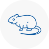 Rat Control Waterlooville