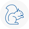 Waterlooville Rodent Removals